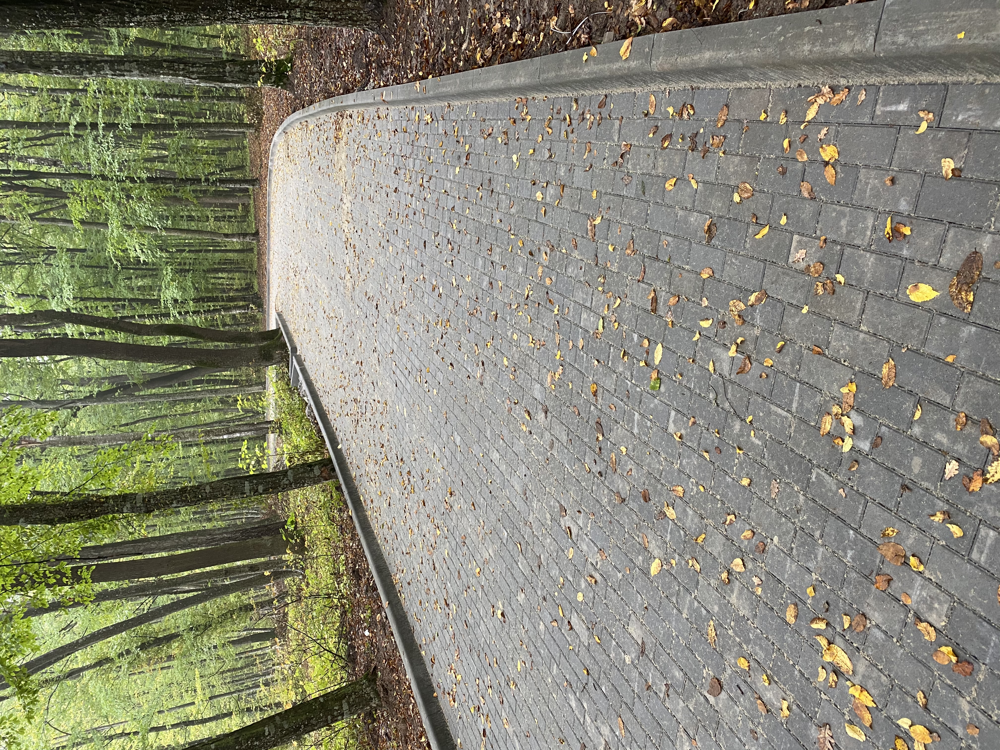 Садова доріжка Акрополь